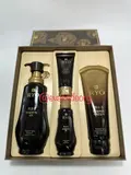 RYO Beautiful Aging Camelia Gift Set (Box 8) (1115 g)