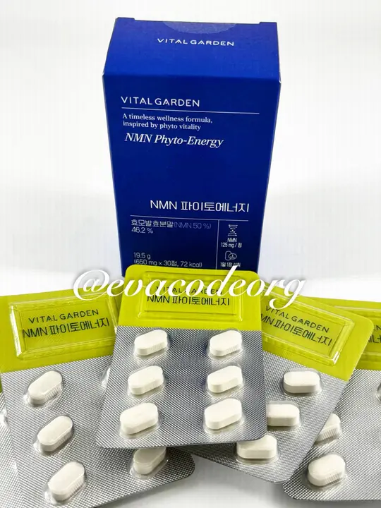 VITAL GARDEN NMN Phyto-Energy (50 g) (Box 80)